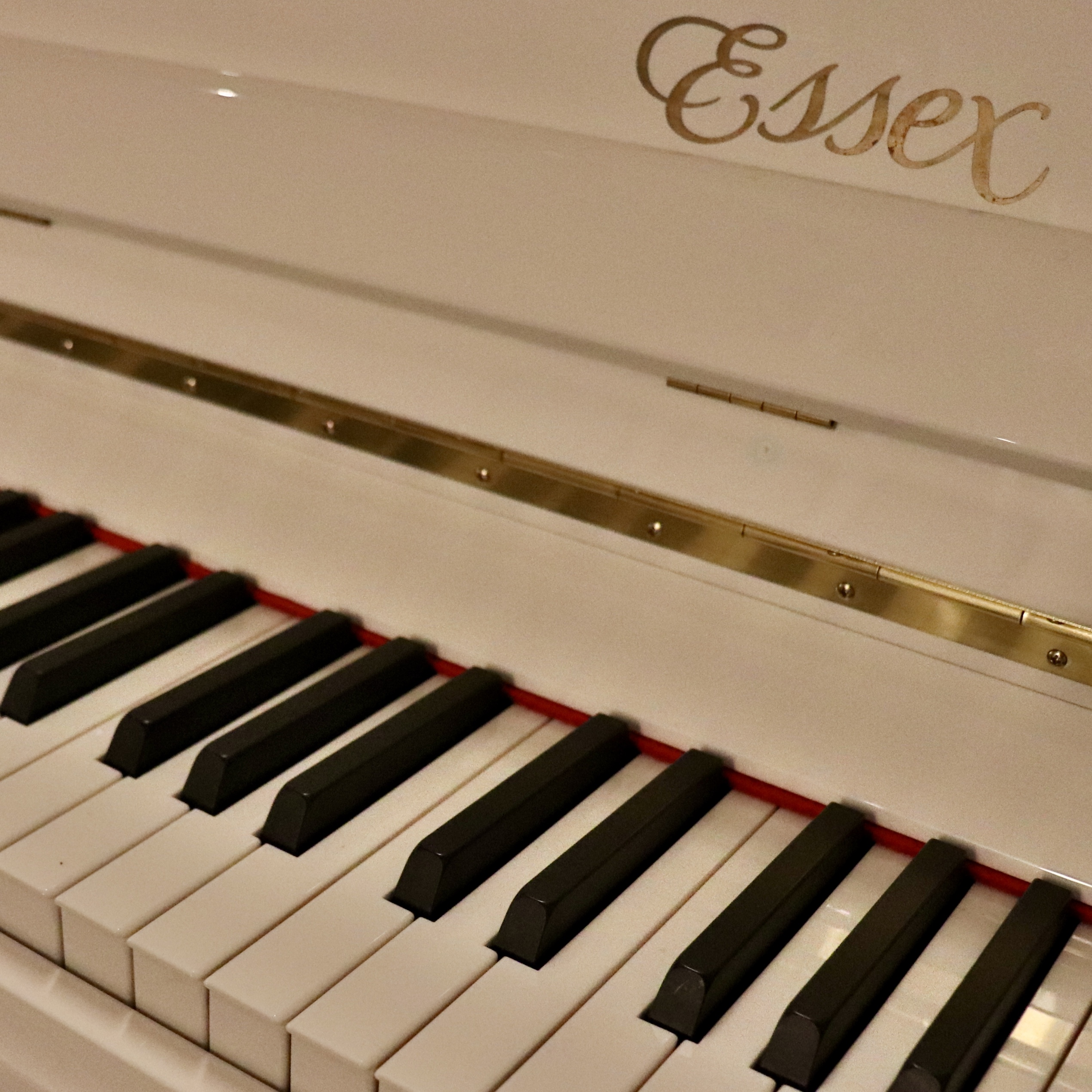 Essex EUP111 PianoForte Chicago