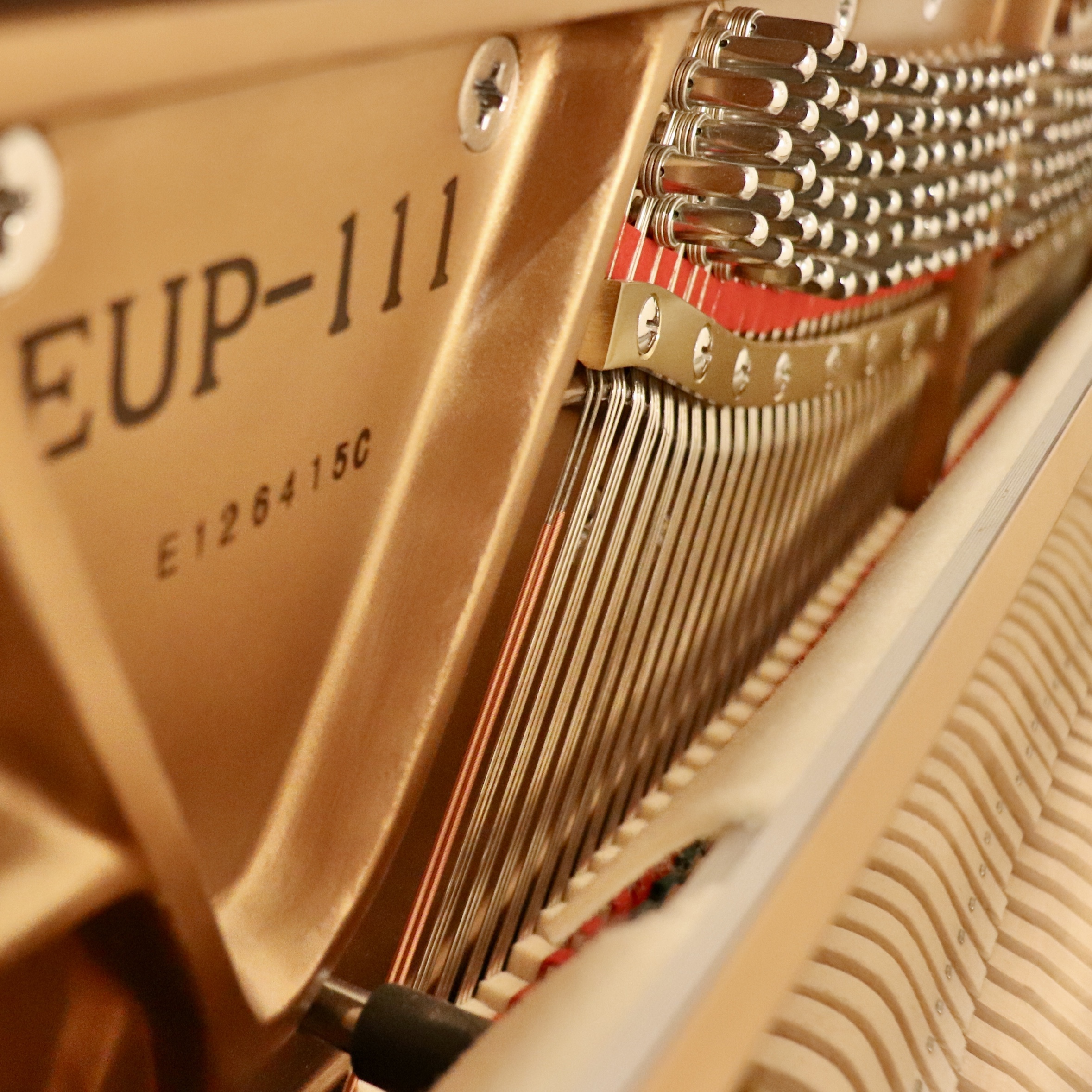 Essex EUP111 PianoForte Chicago