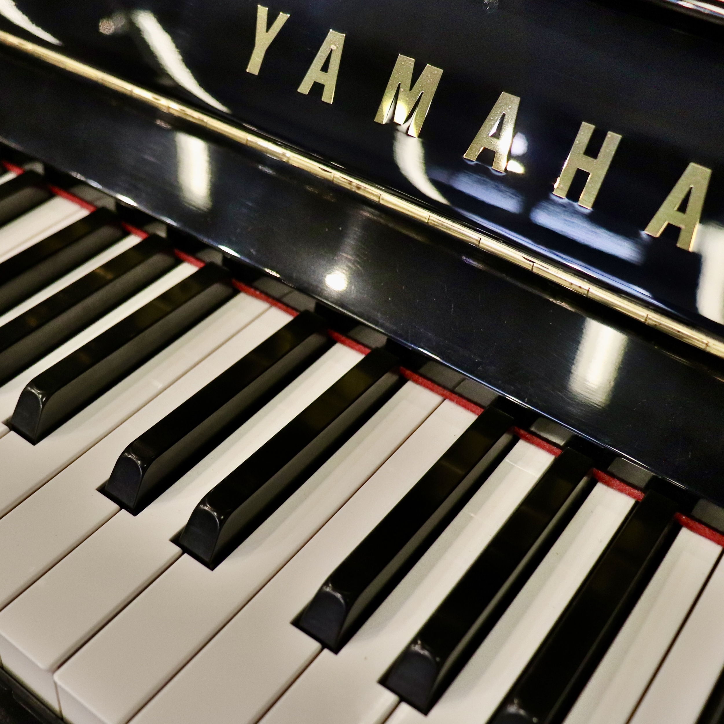 Digital Pianos in Michigan digital pianos in michigan, digital pianos for sale michigan, michigan digital piano dealer