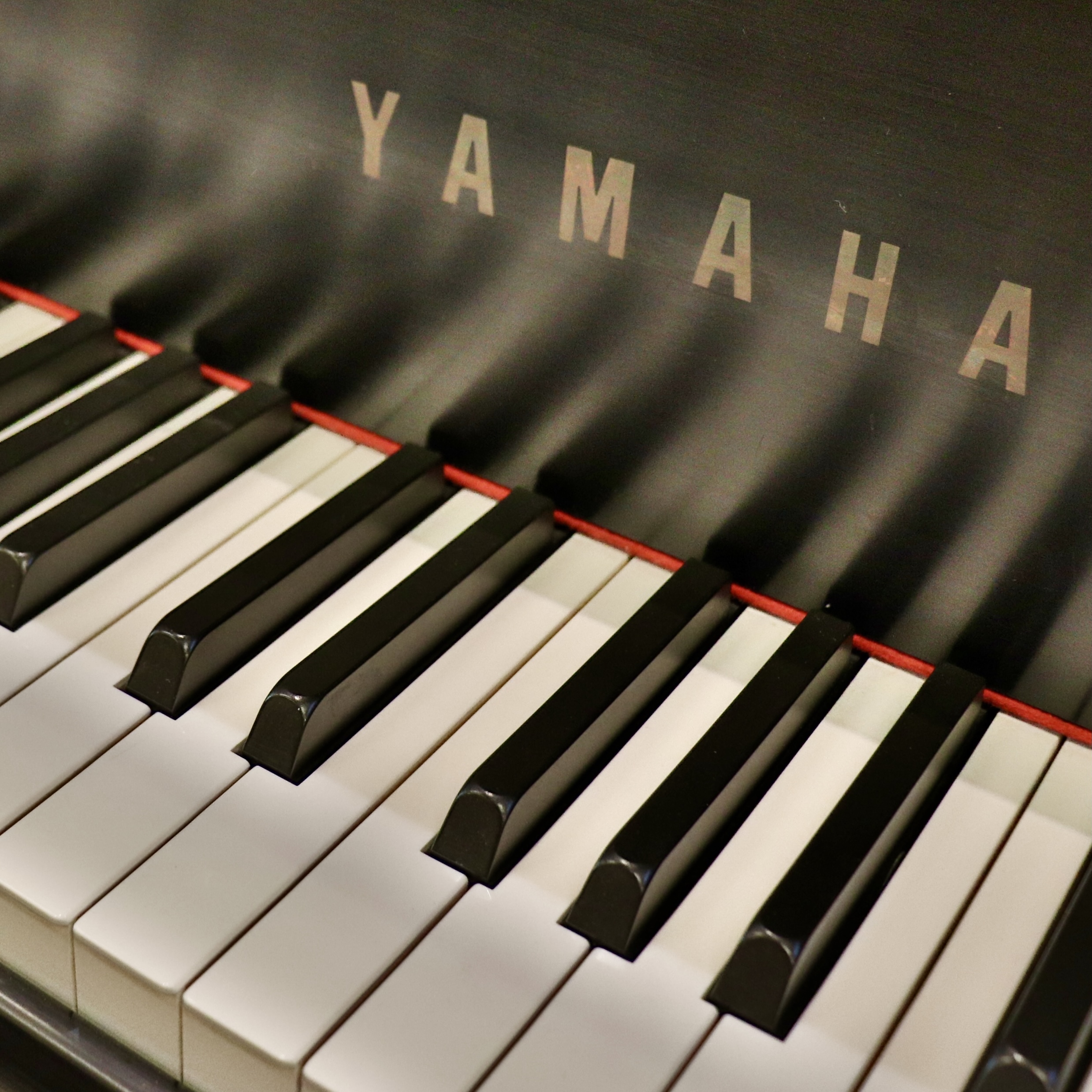 Yamaha G2 - Image 3
