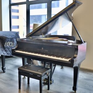 Steinway Model M