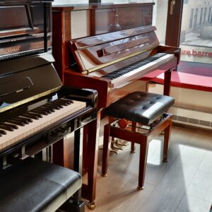 Fridolin Schimmel T121 Tradition Silent