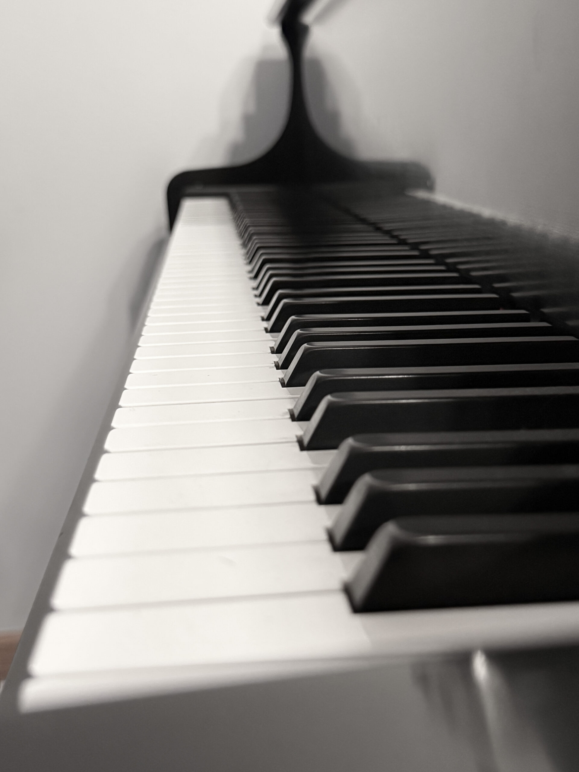 Digital Pianos in Wisconsin Digital Pianos in Wisconsin, premium digital pianos, piano showroom