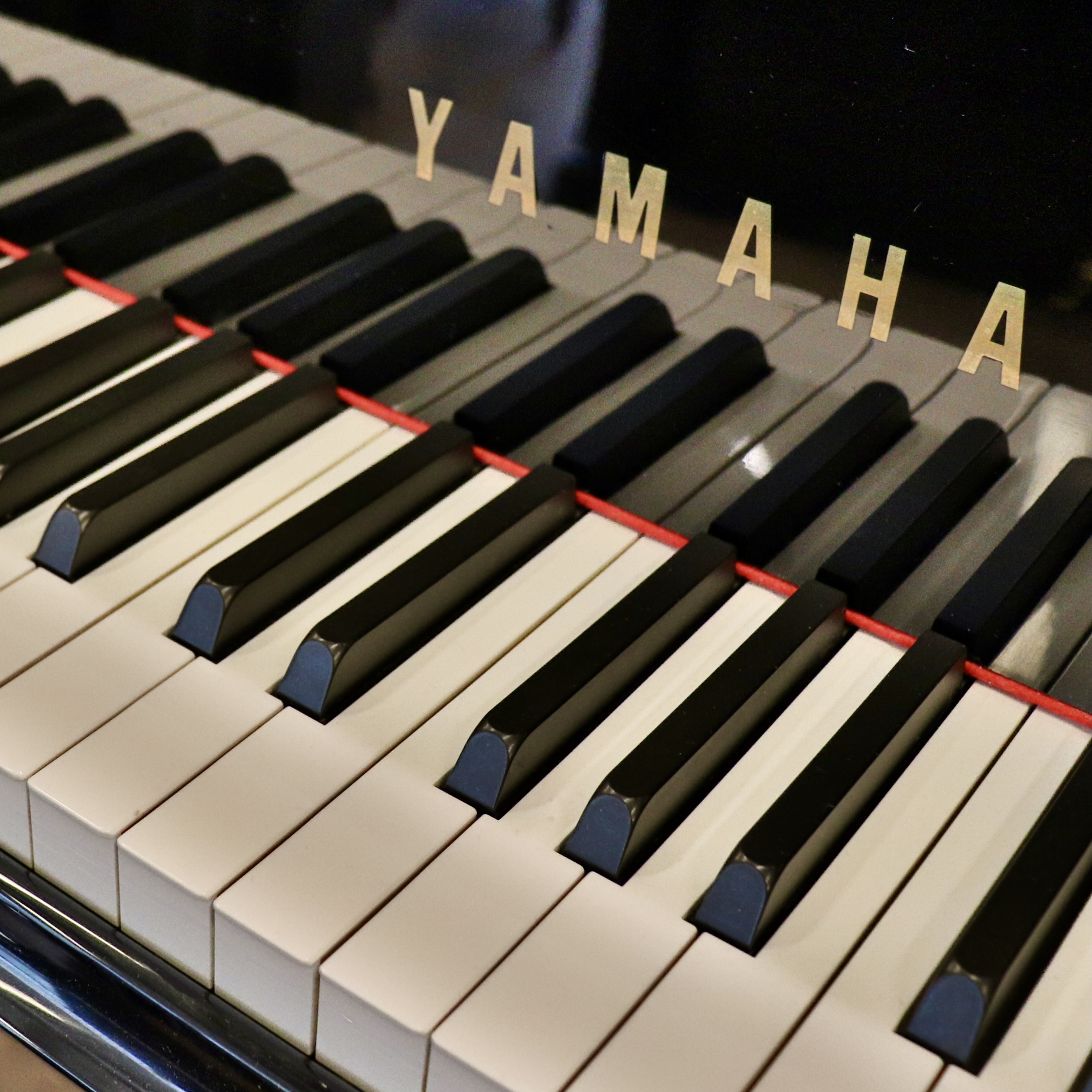 Yamaha GH1 - Image 2