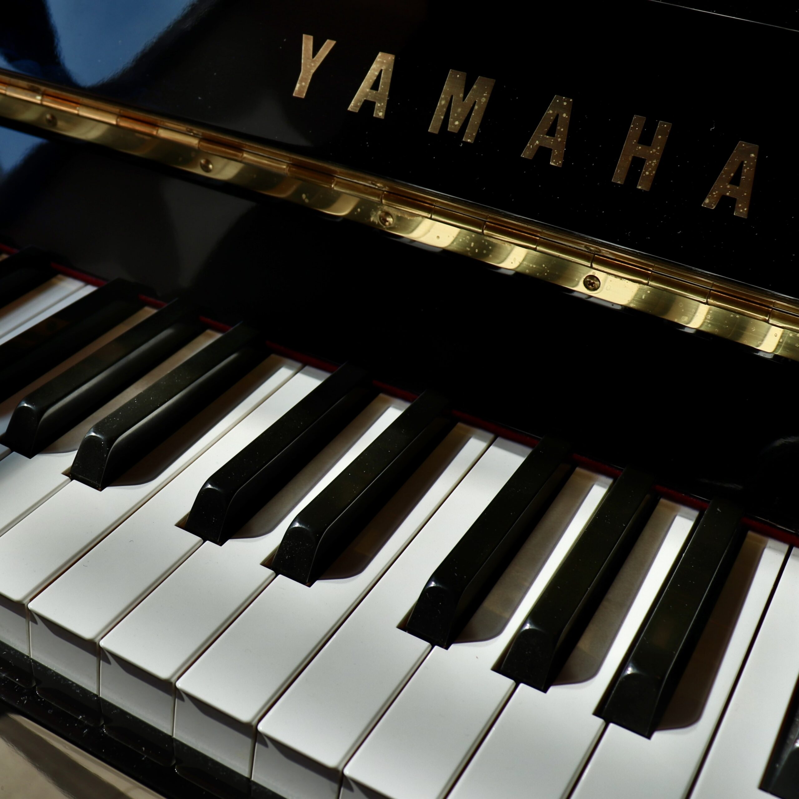 Yamaha T121 - Image 2