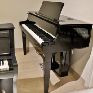 Kawai NV10