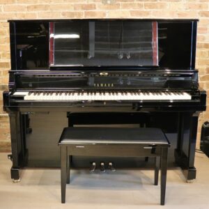 Yamaha DYUS5