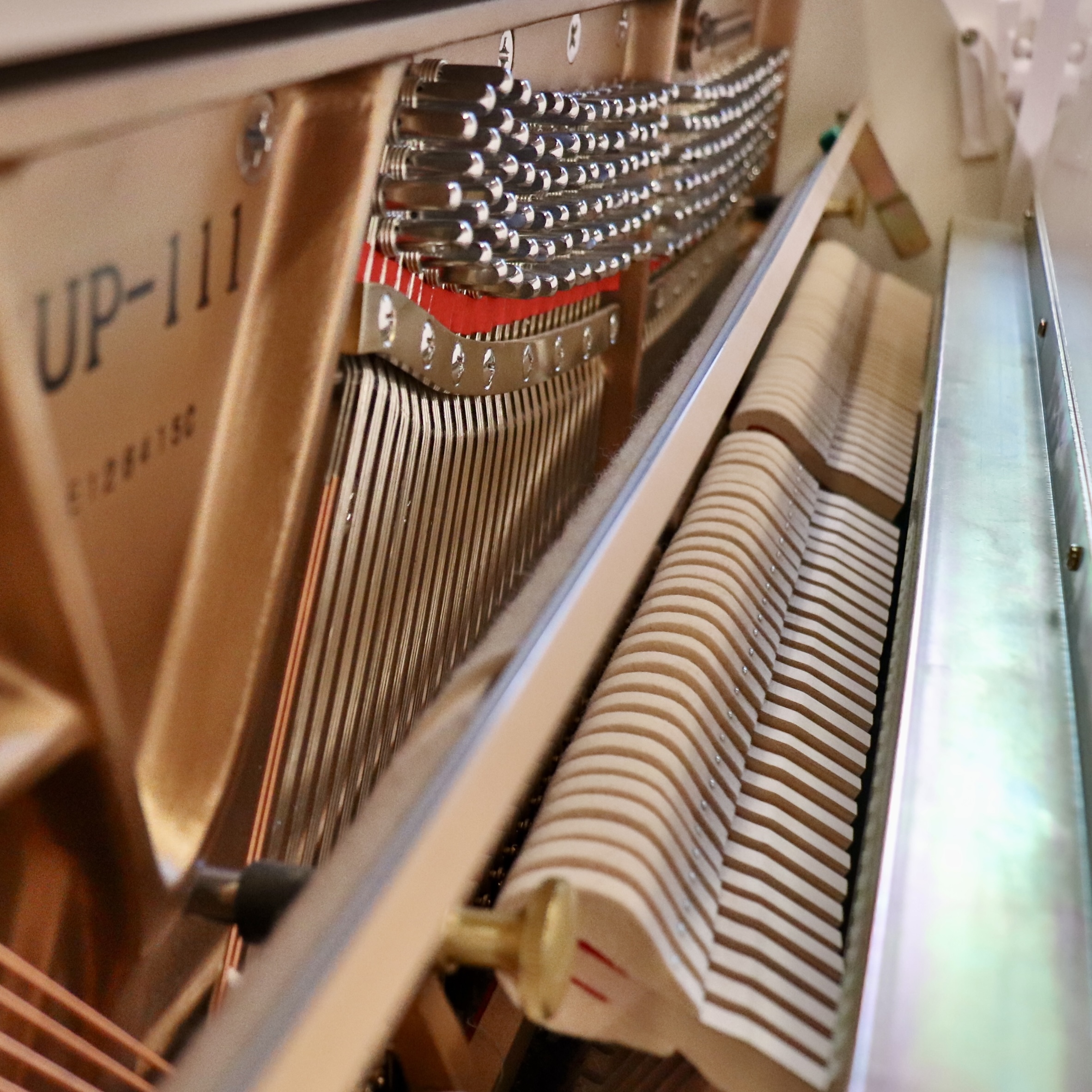 Essex EUP-111 - Image 3